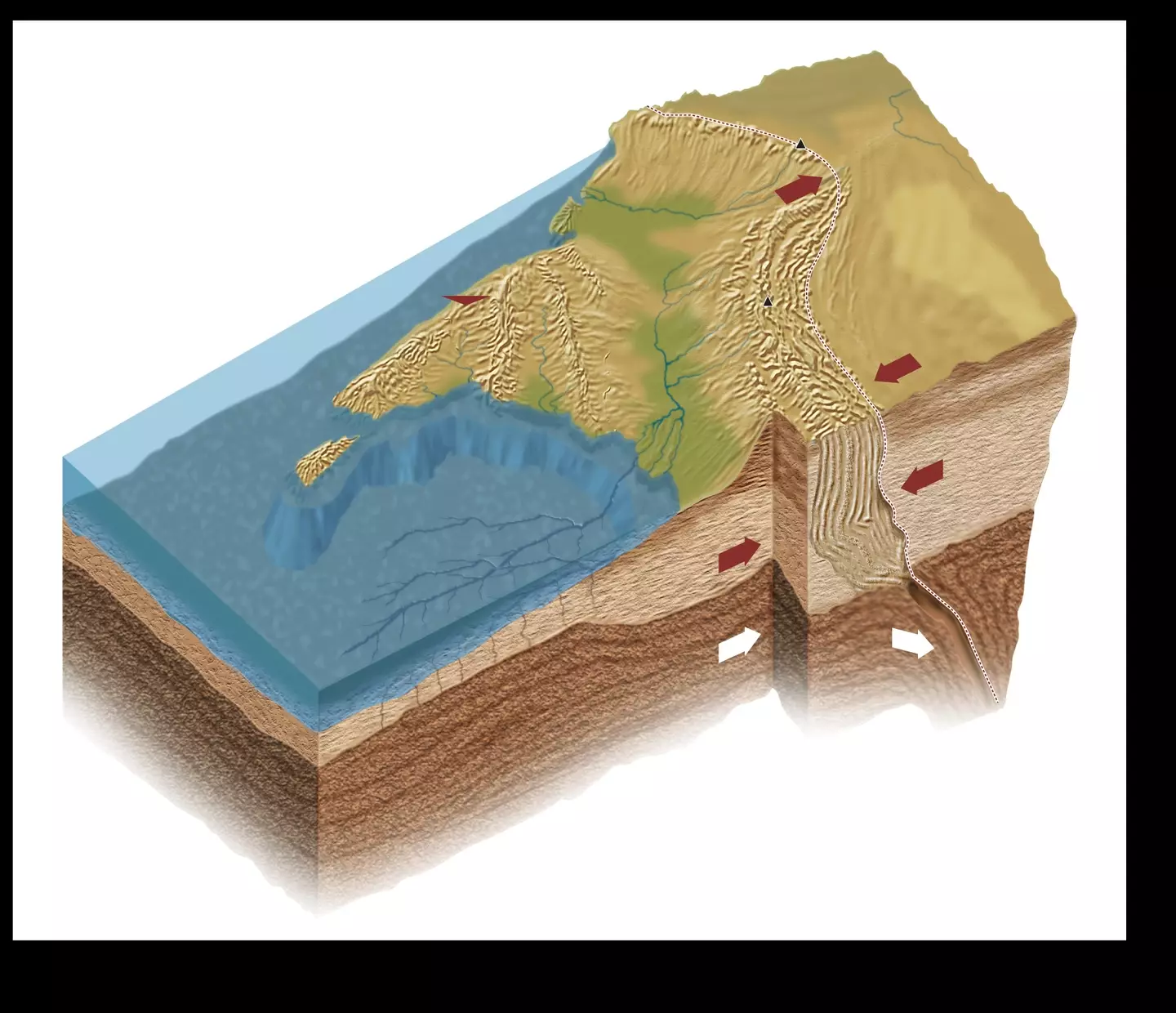 The study focused on the Indian and Eurasian tectonic plates.