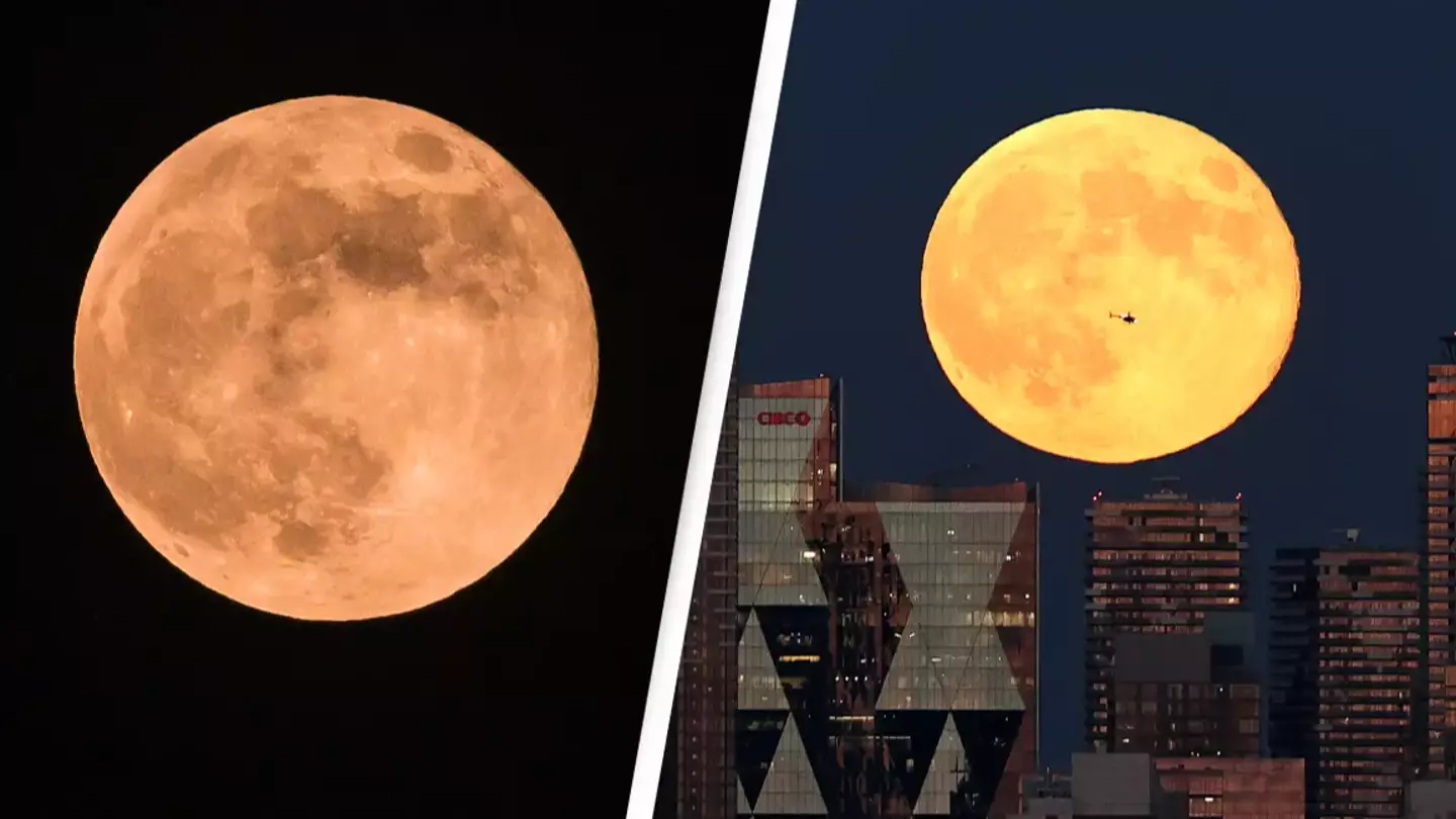 Final supermoon of 2024 will be visible from Earth this week