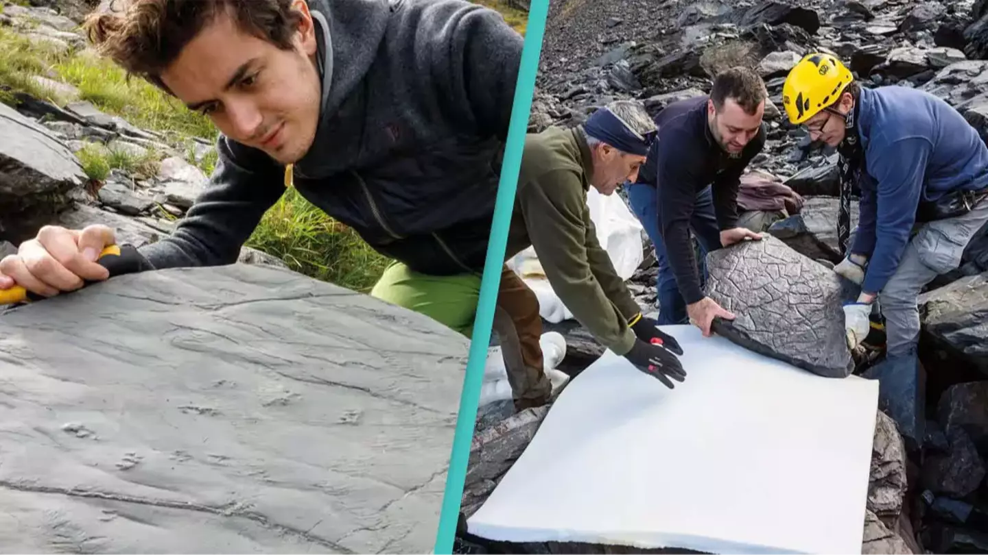 Woman accidentally discovers 280,000,000-year-old lost world while on a hike with her husband