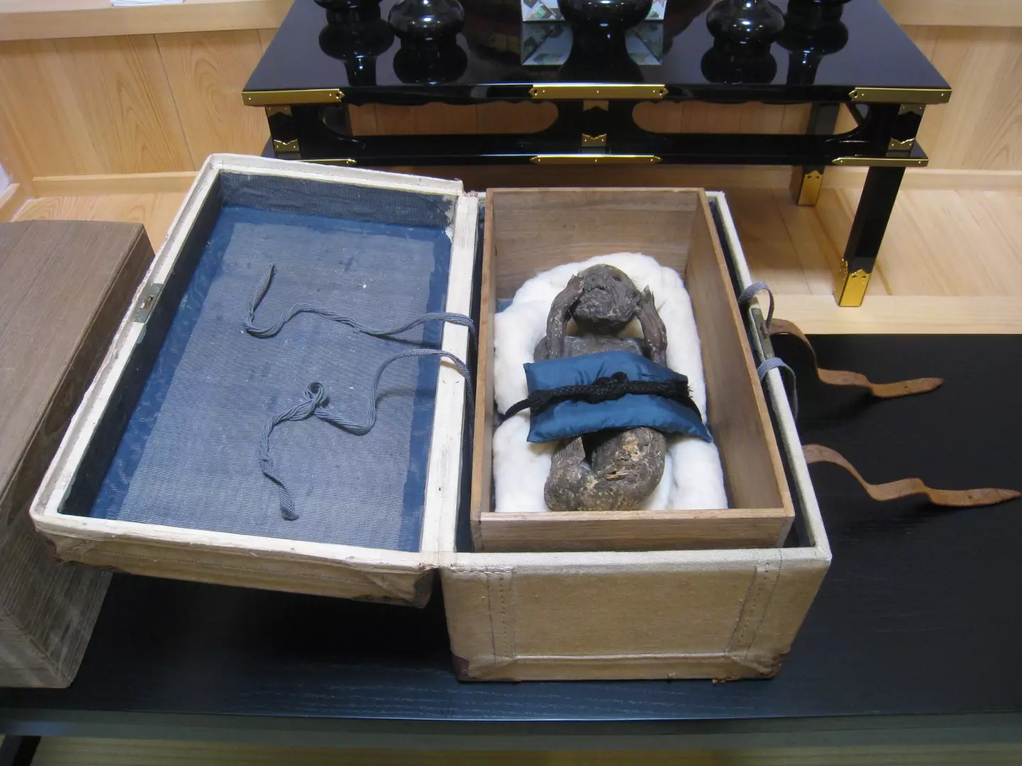 Mummified 'mermaid' to be investigated by scientists. (Pen News)