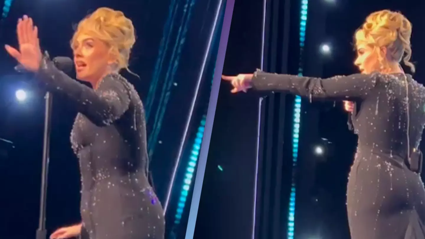Adele stops show to call out security guard for 'bothering’ audience member