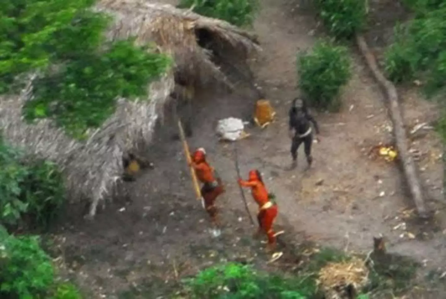The pictures of the uncontacted tribes people of Brazil were taken in 2008.