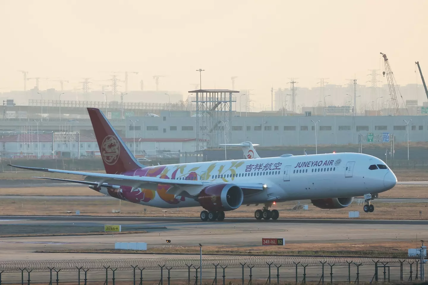 There have been safety concerns regarding the Boeing 787 Dreamliner in particular.