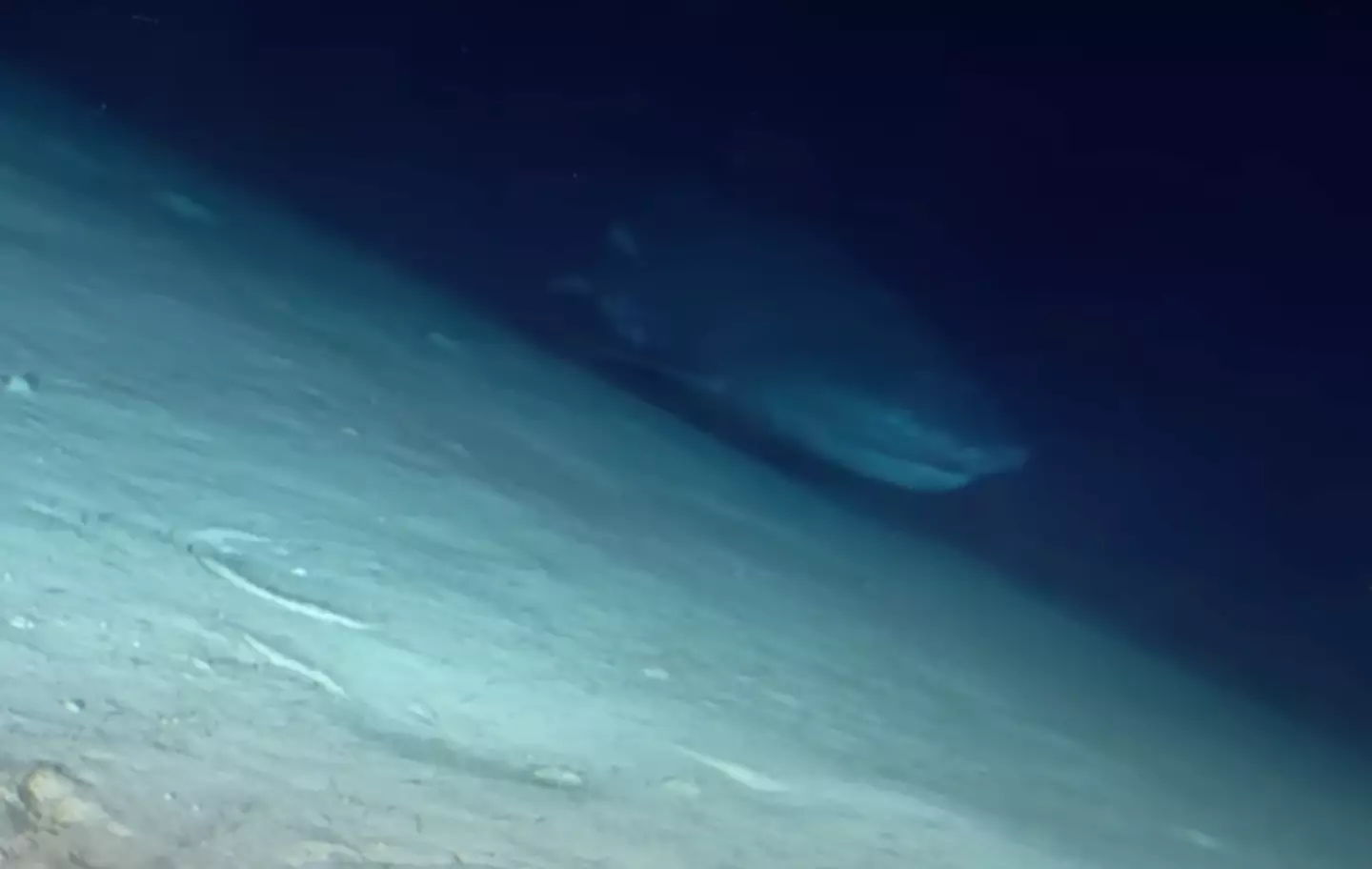 Just you wait until you see it up close.