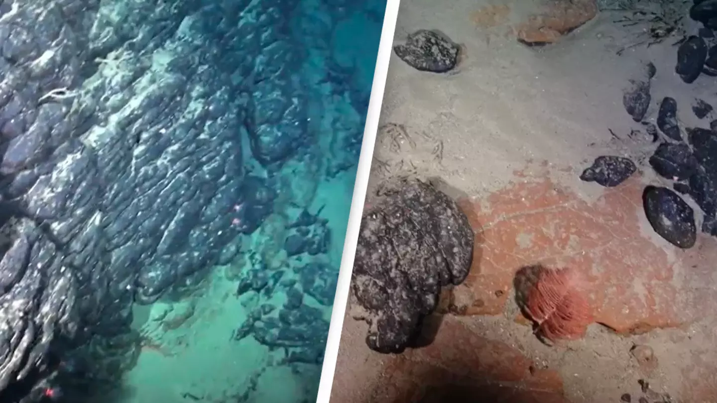 Scientists discovered long lost sunken island loaded with rare Earth minerals leading to debate over who owns it