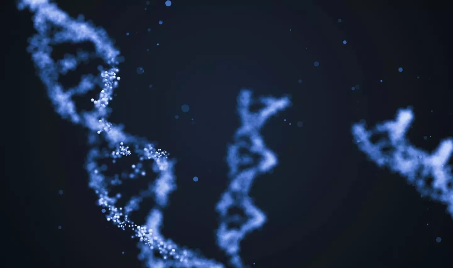 Scientists have been studying genomes to uncover the truth. (Getty stock images)