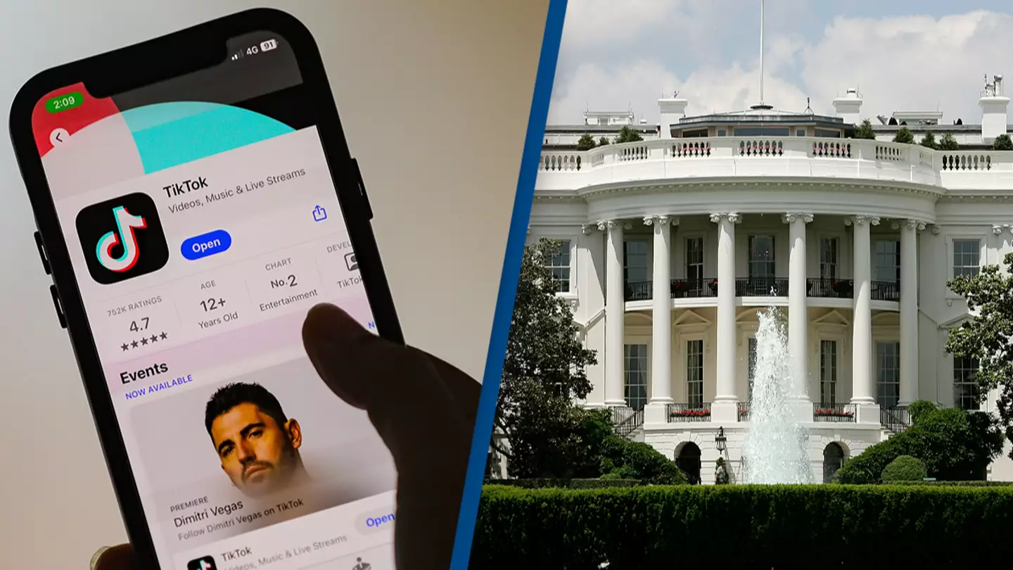 TikTok threatens to 'go dark' on Sunday unless White House intervenes 'immediately' to stop ban