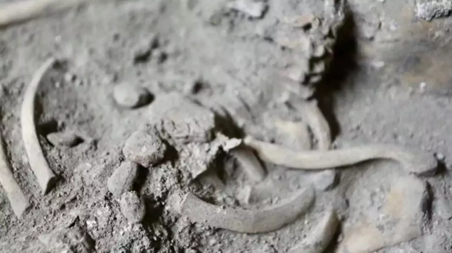 Courtesy of Fine Arts Department