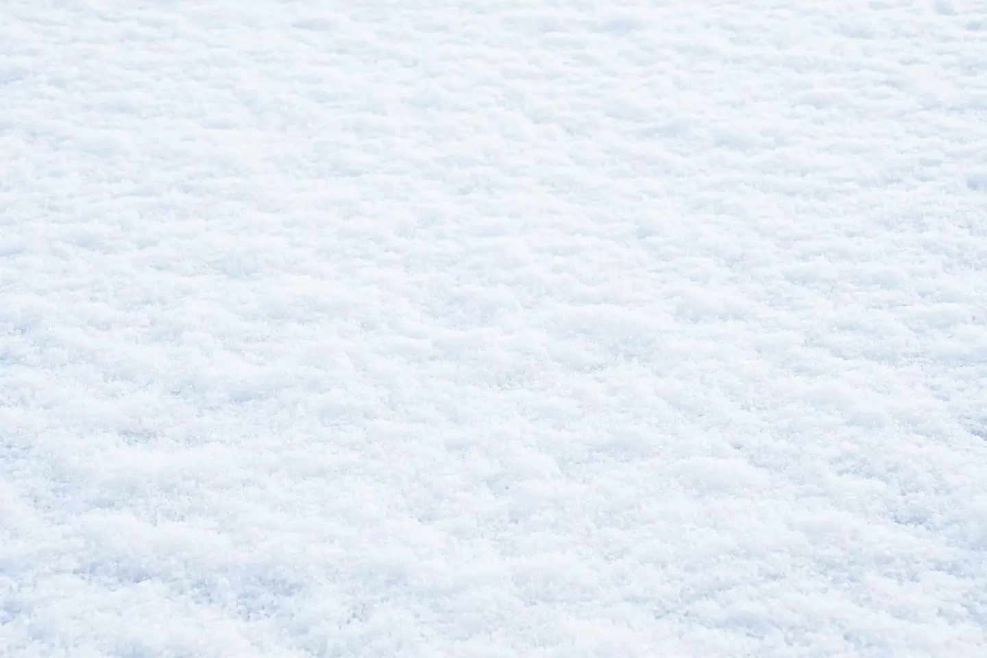 A 'White New Year' could be on the cards (Olga Siletskaya/Getty Images)