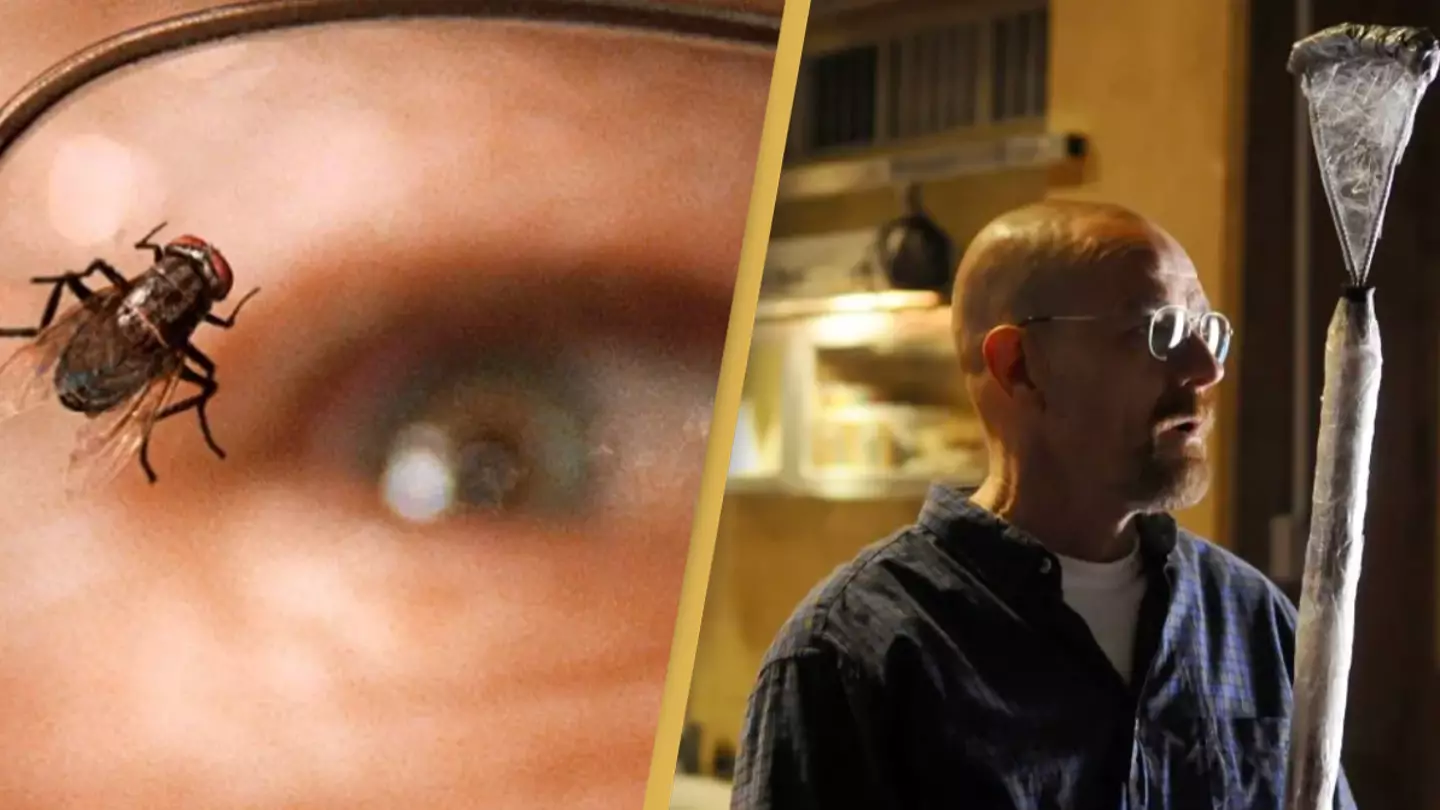 The real reason why the infamous 'fly' episode of Breaking Bad happened