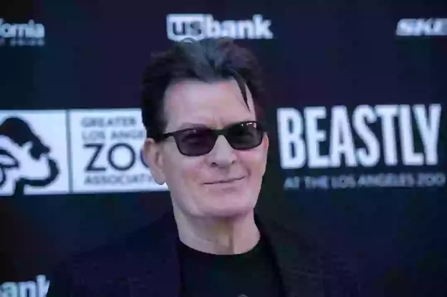 Charlie Sheen is releasing a new book and Netflix documentary (Amanda Edwards/Getty Images)
