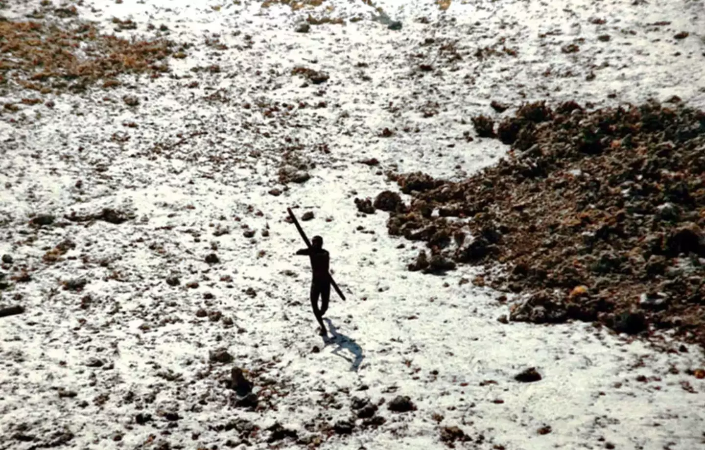 A member of member of the Sentinelese tribe photographed aiming arrows at a helicopter.