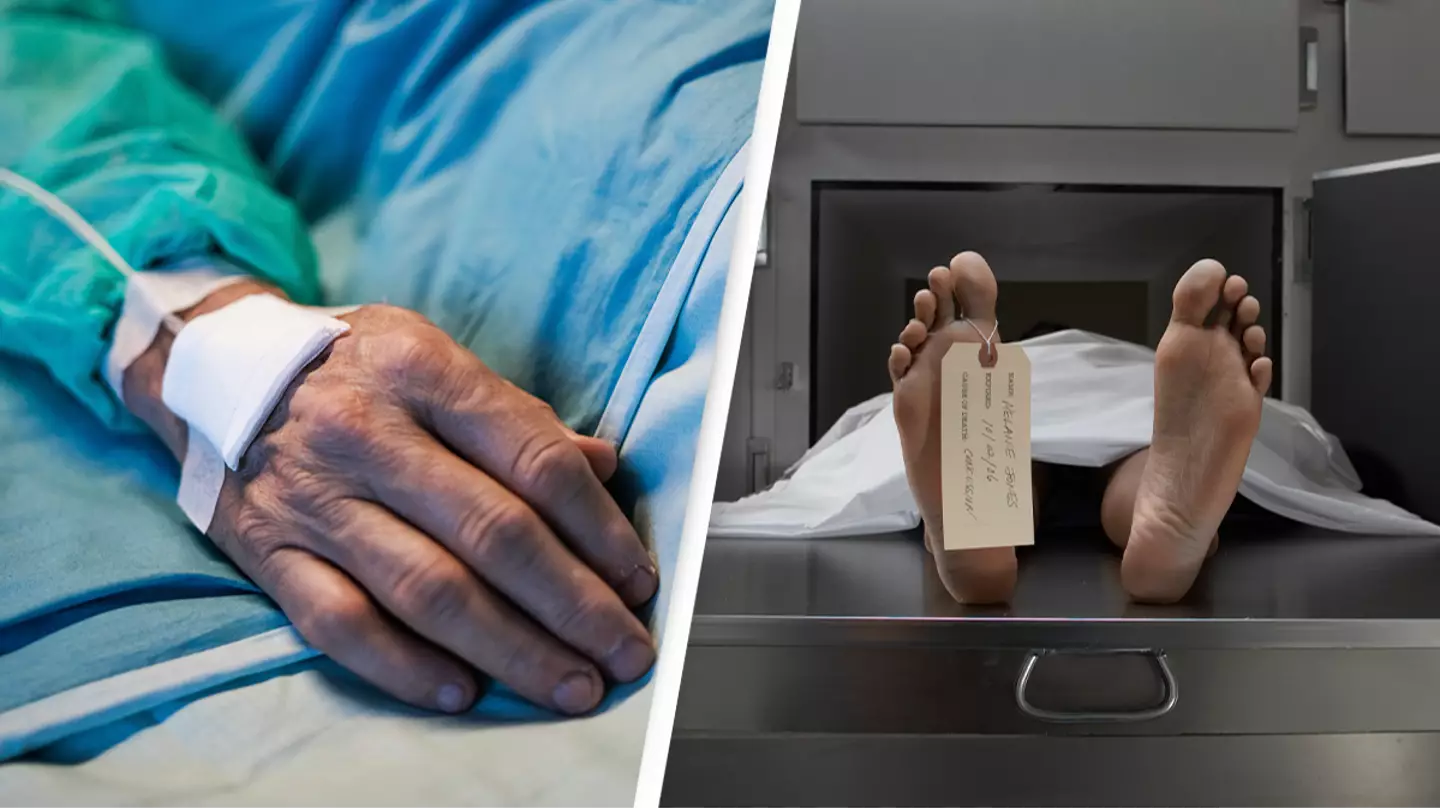 Halfpoint Images/Getty / Darrin Klimek/Getty