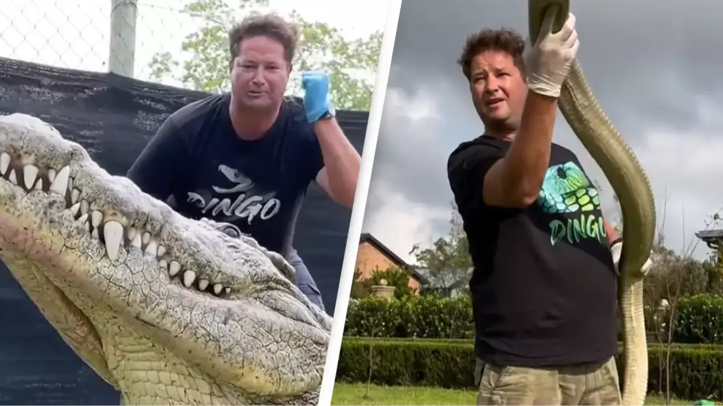 dingo_dinkelman/Instagram