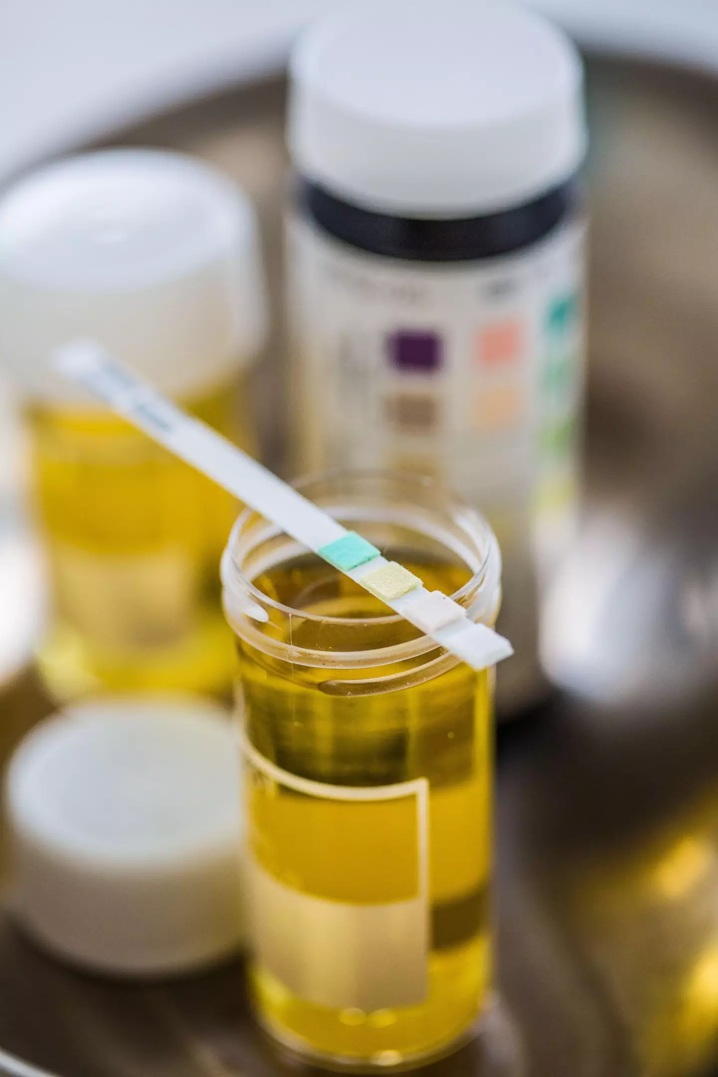 The housekeeper claims she contracted UTIs as she couldn't go to the toilet.