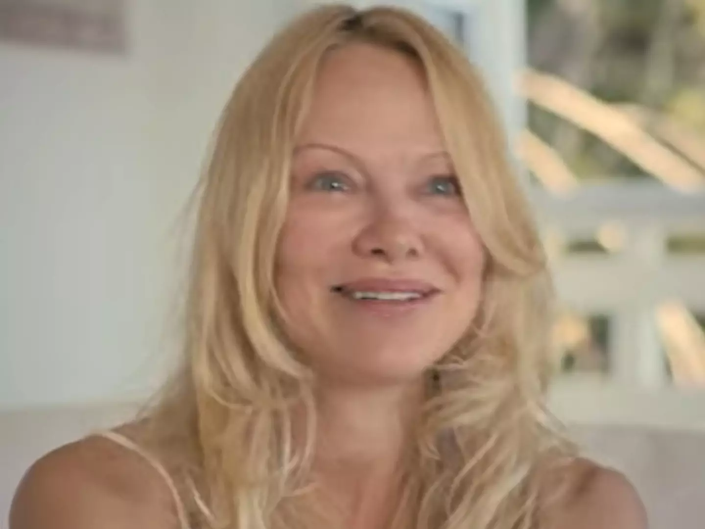 Pamela Anderson has made a Netflix documentary about her life.
