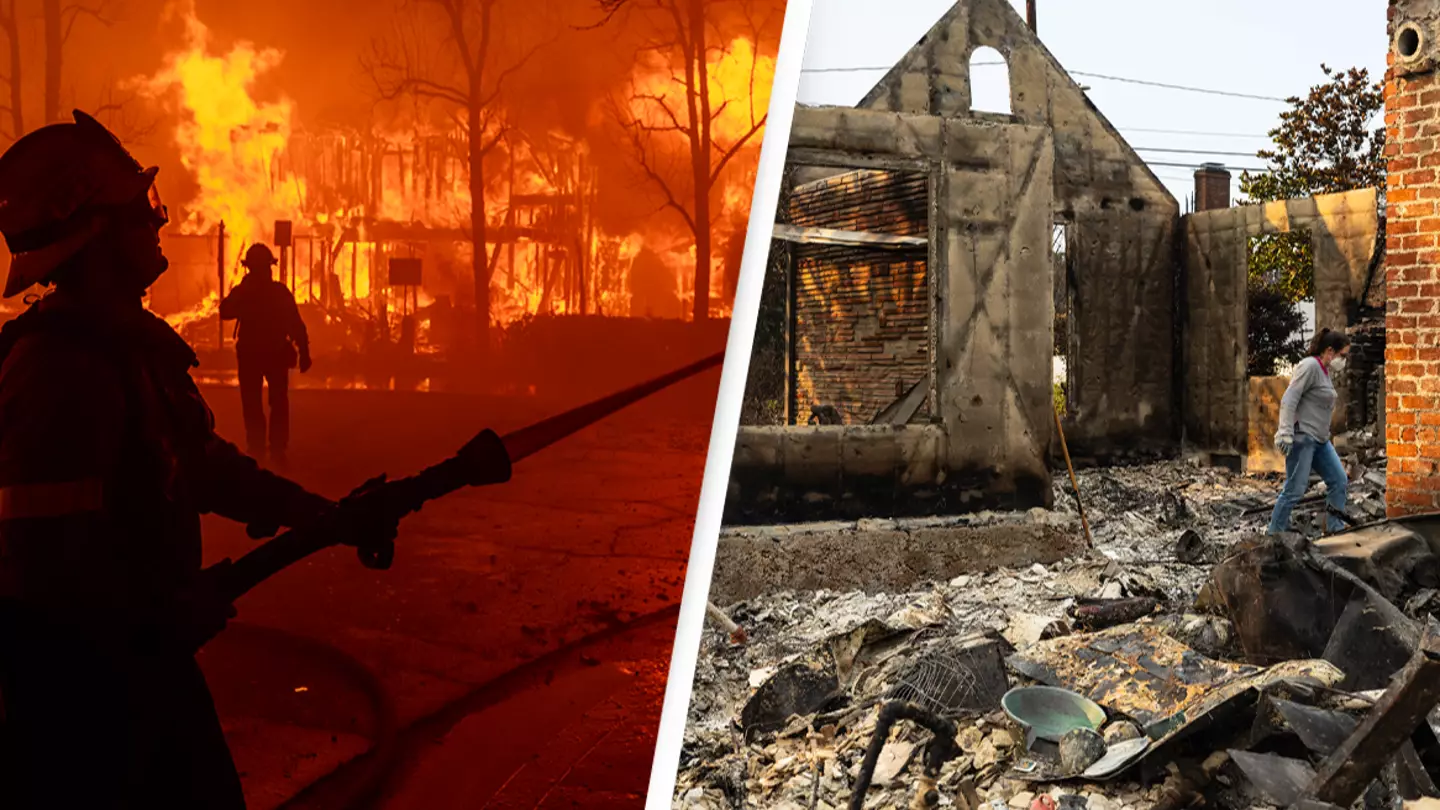 David McNew/Getty Images/ZOE MEYERS/AFP via Getty Images