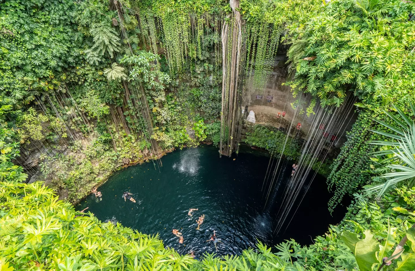 Sarcrificed people were often thrown into cenotes like this one near Chichén Itzá. (Donald Miralle/Getty Images for Lumix)