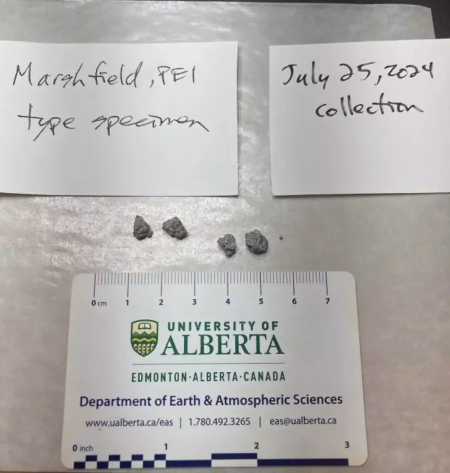 Pieces of the meteorite were sent off for further inspection (University of Alberta Meteorite Collection)