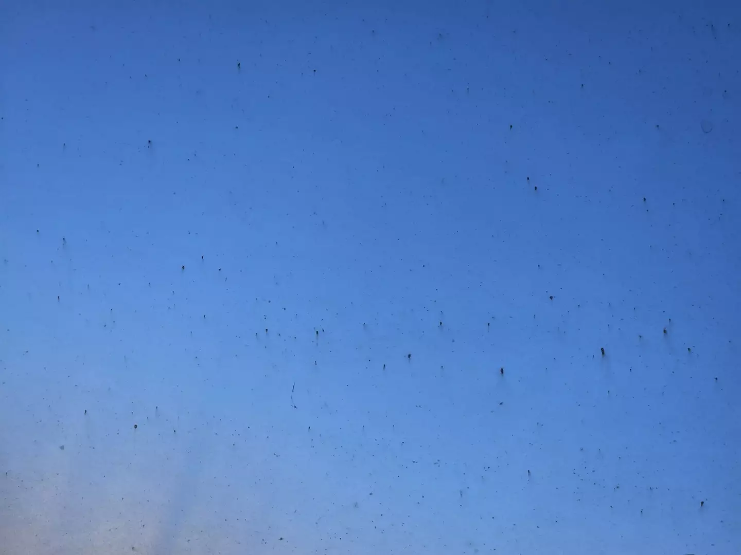 Another user said they were warned 'orange rust marks' may develop on their vehicle.