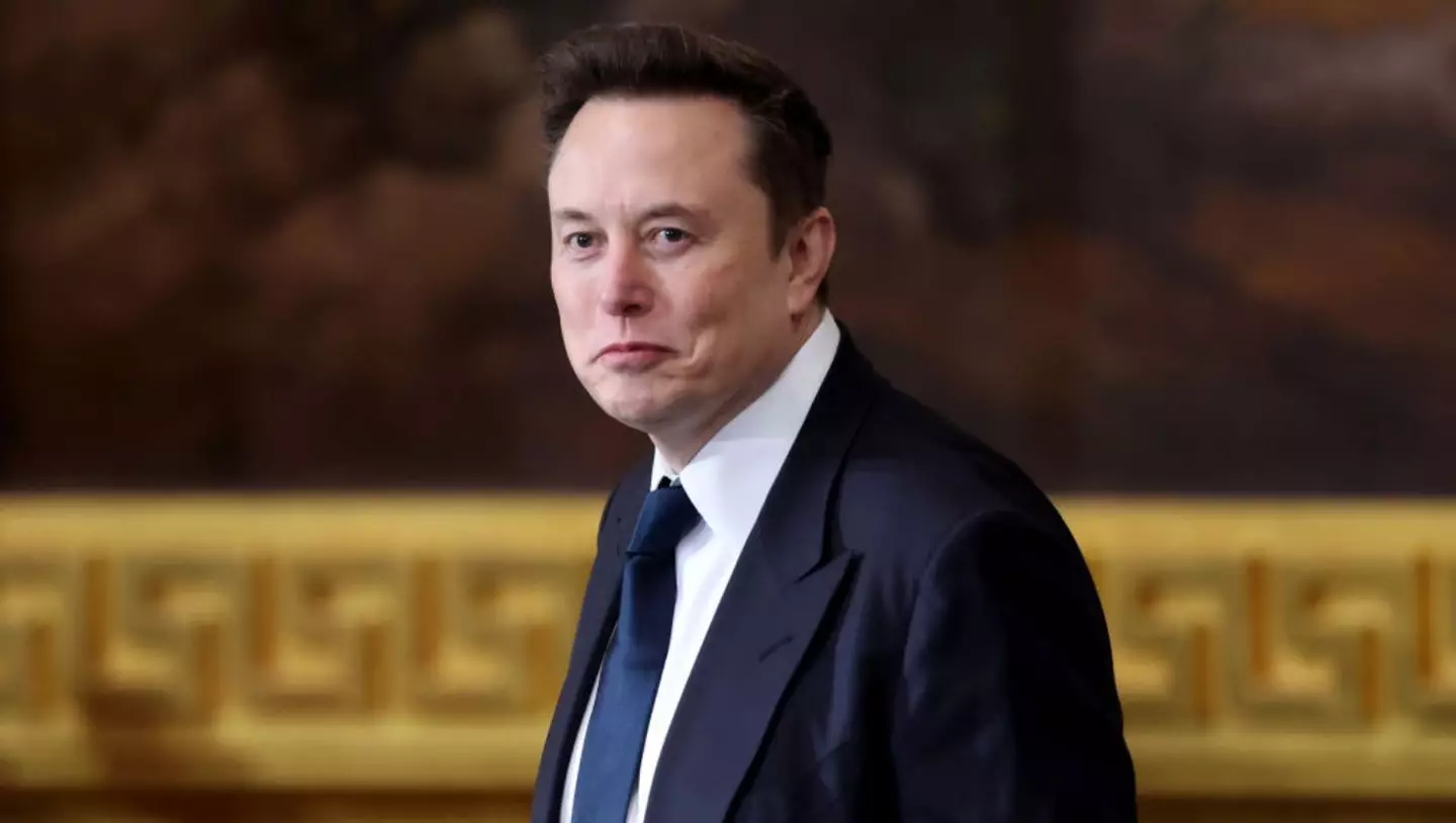 A New Mexico representative hoped to end Musk's 'unlawful power grab' with the lawsuit (Kevin Lamarque - Pool/Getty Images)