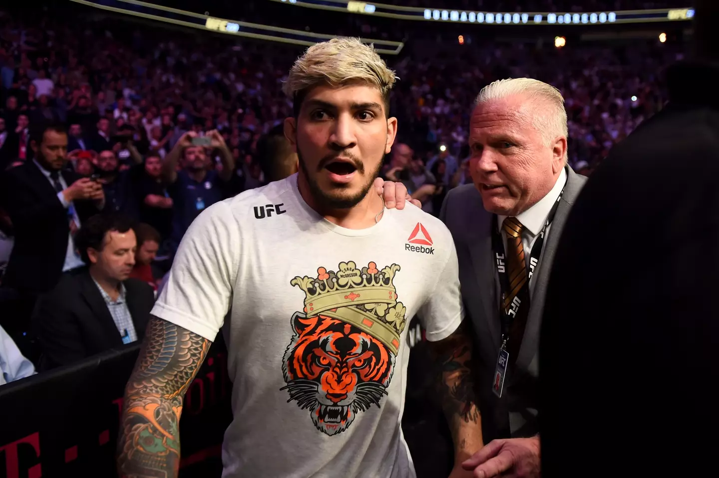 Dillon Danis is known for his online trolling of opponents.
