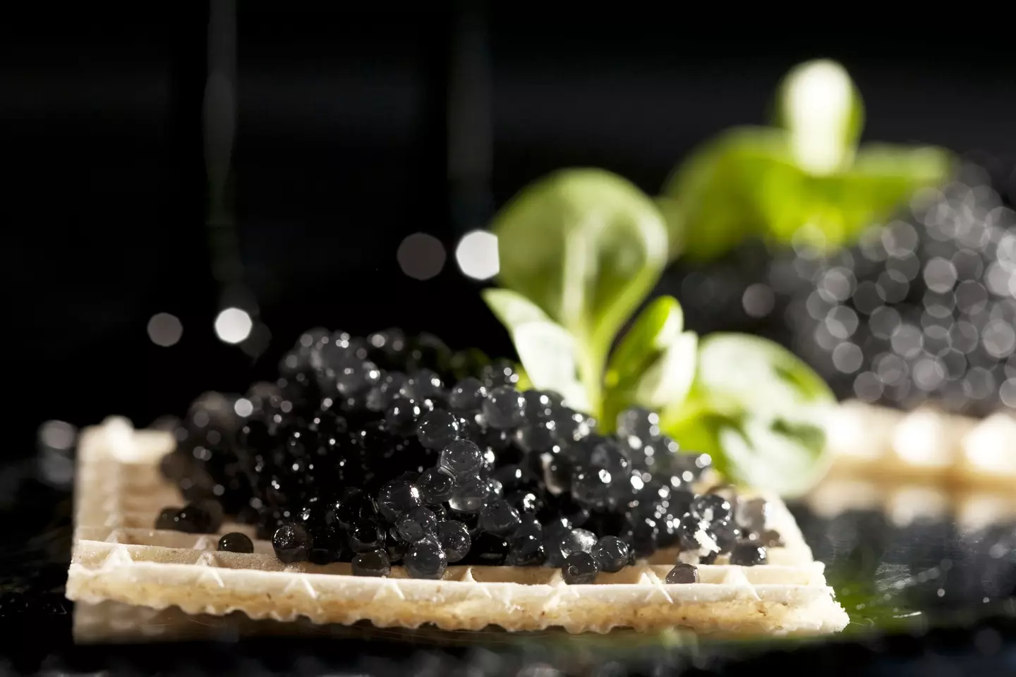 Caviar, anyone?