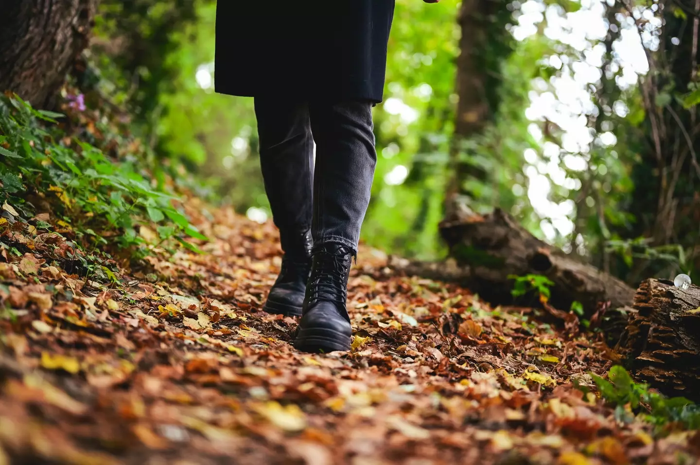 Whether it's going on a hike or doing more steps around your house, increasing your step count has many benefits (Getty Stock)