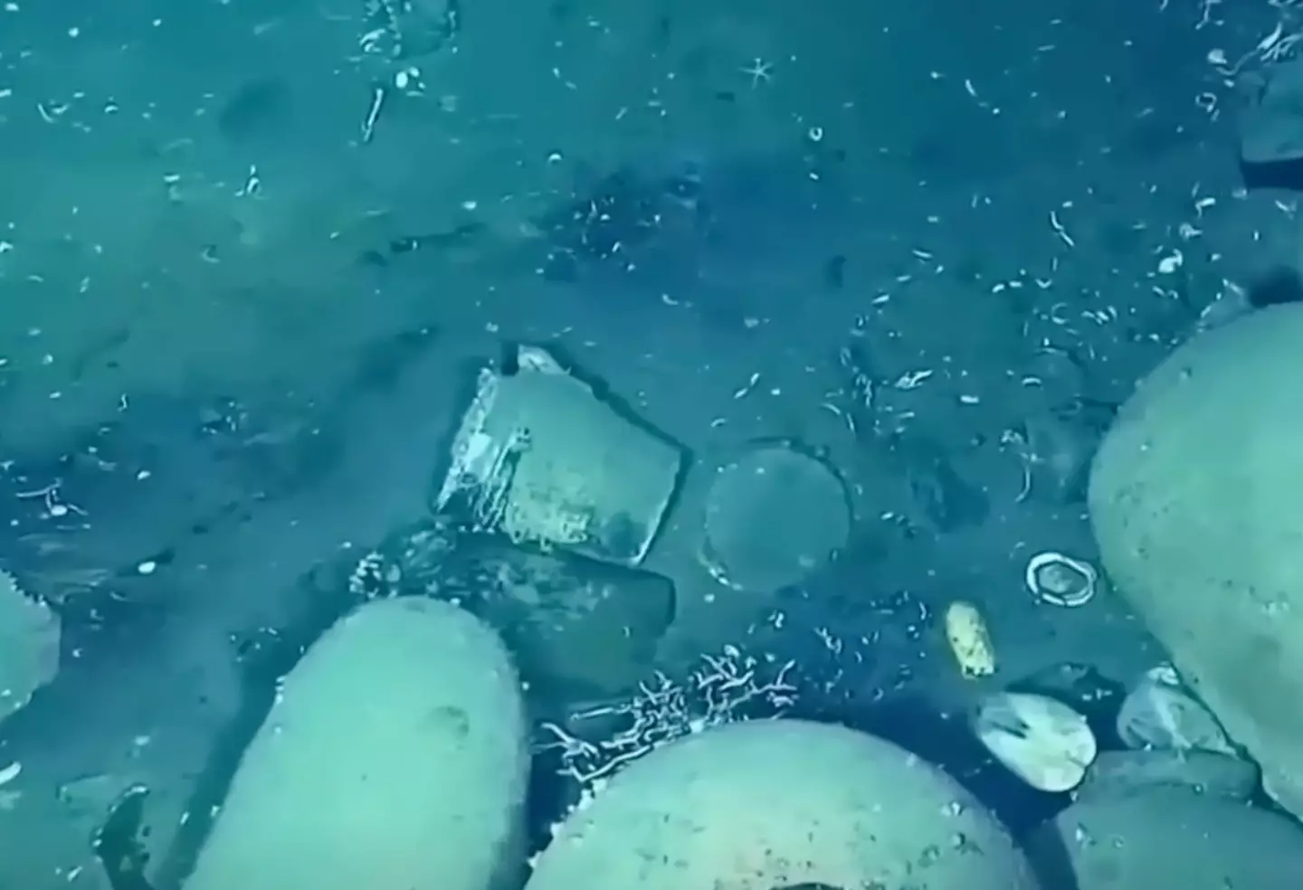 The shipwreck was discovered back in 2015.