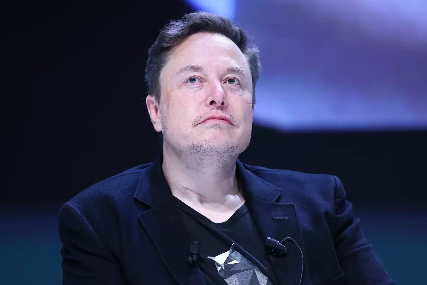 Elon Musk received a high score from Taylor. (Marc Piasecki/Getty Images)