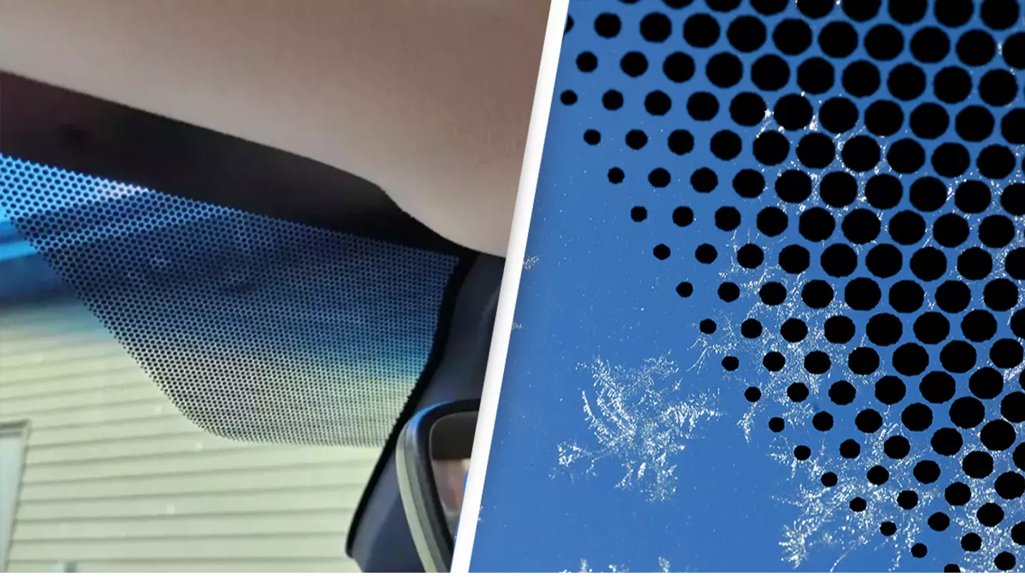Important reason why there are black dots on your car's windscreen