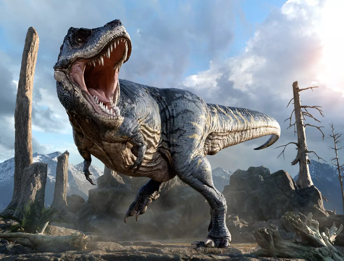 A T-Rex may have sounded like a bird/ crocodile mix.