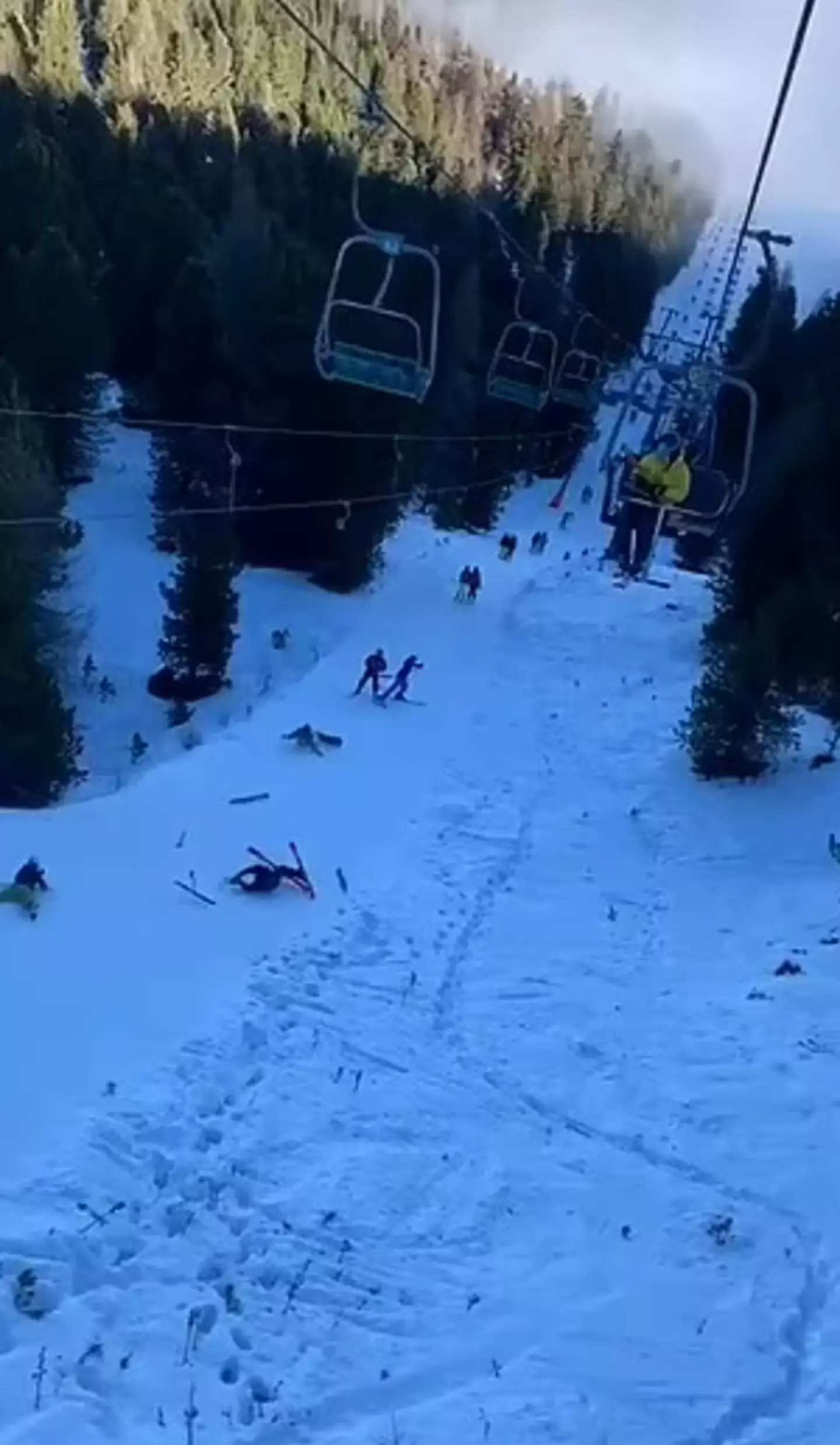 Four people had to be treated in hospital following the incident.