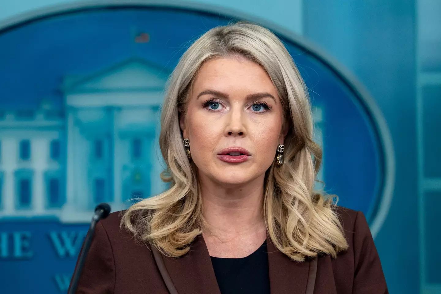 Karoline Leavitt confirmed that military options were being considered to control Greenland (Bonnie Cash/UPI/Bloomberg via Getty Images)