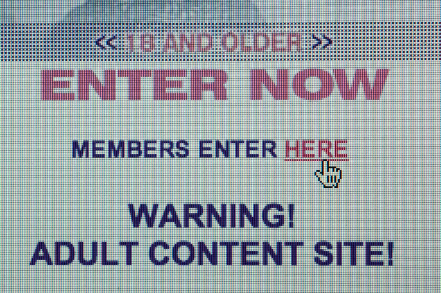 Age verification on website (Alamy)