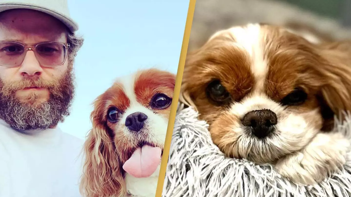 Seth Rogen announces dog Zelda has died in heartbreaking post
