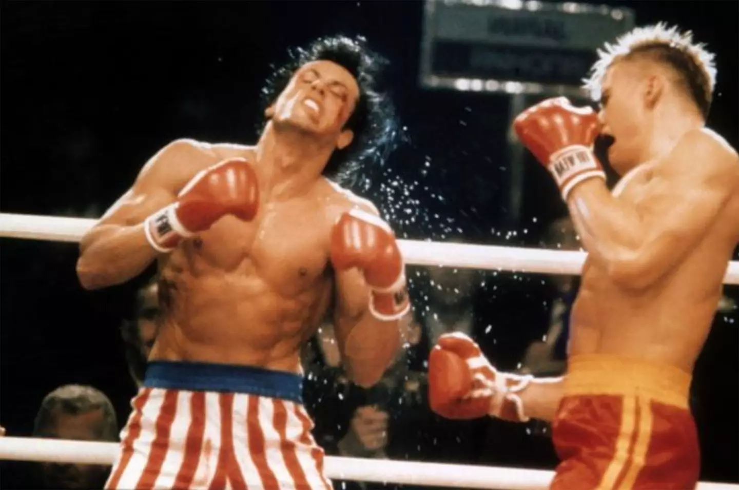 Dolph Lundgren put Sylvester Stallone took the punches a bit too far for Rocky IV.