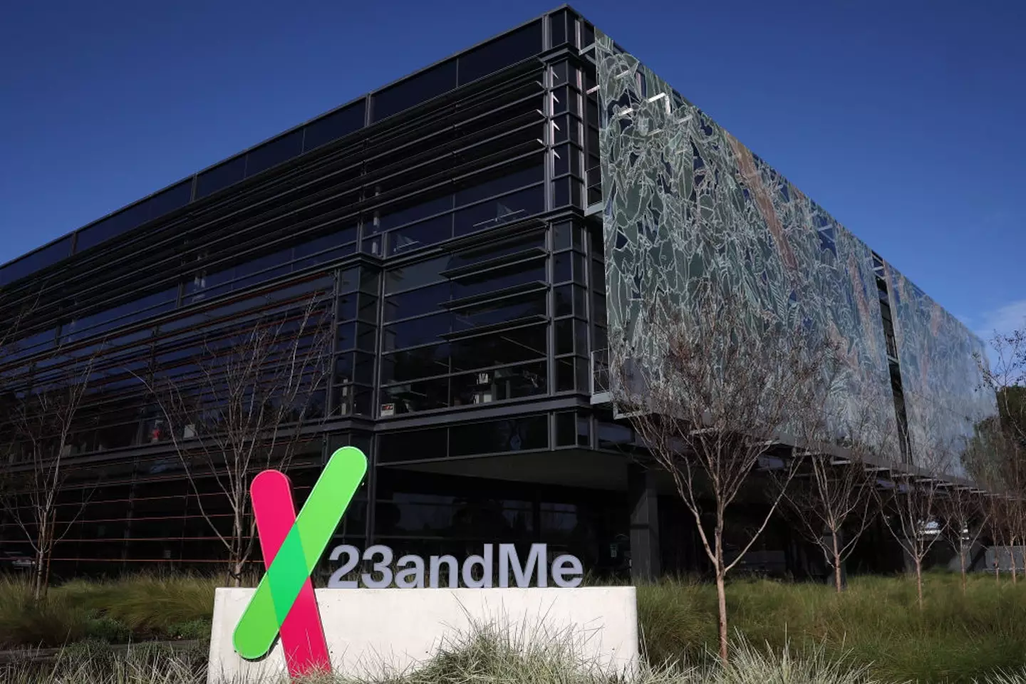 23andMe has declared bankruptcy (Justin Sullivan/Getty Images)