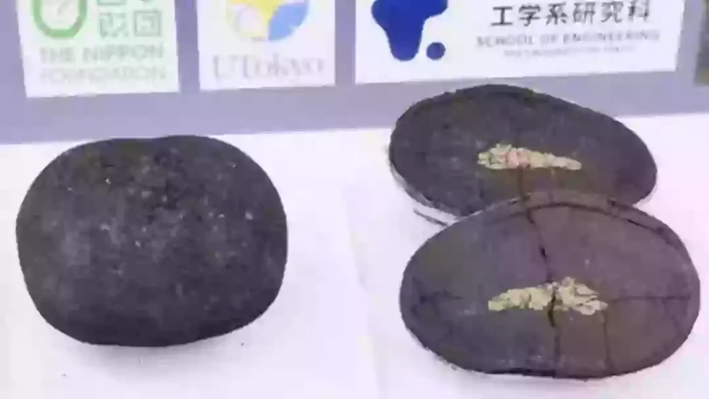 They might not look like much, but these deep-sea nodules could majorly boost Japan's economy (The Nippon Foundation)