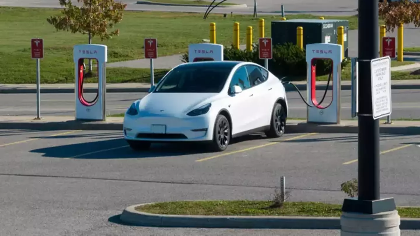 Tesla owners might want to personally contact Musk if they have problems.