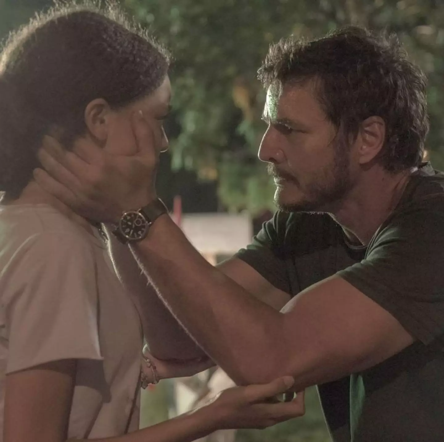 The Last of Us has a perfect Rotten Tomatoes score.