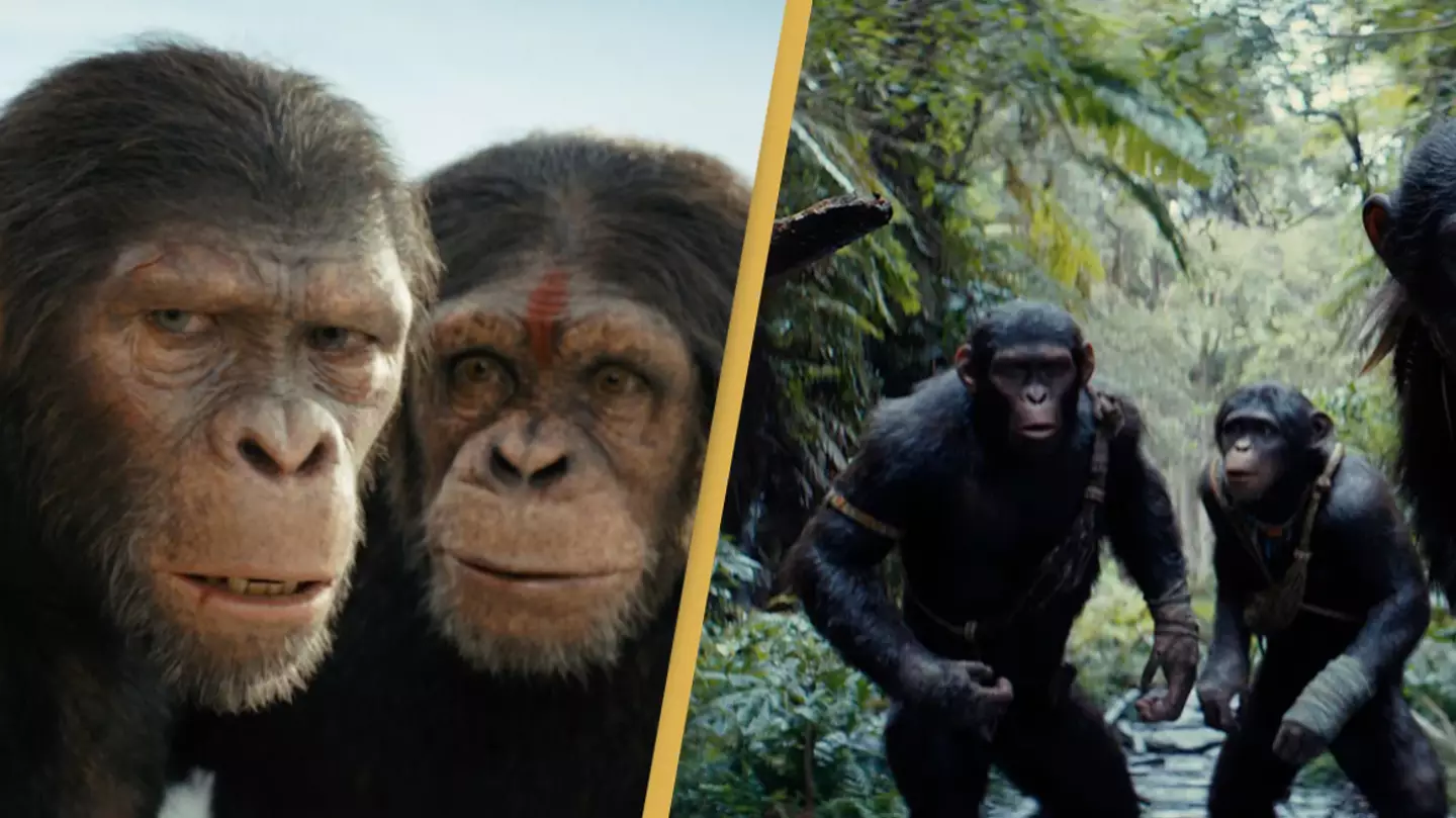Review: Kingdom of Planet of Apes successfully delivers wild animal antics even without Andy Serkis