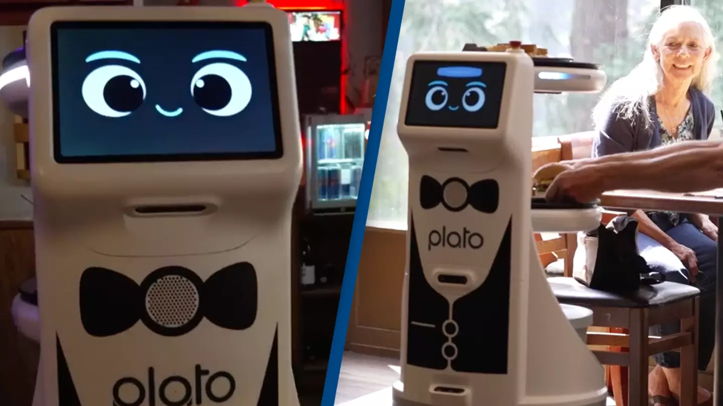 Small town restaurant’s robot waiter leaves customers furious and drives them away