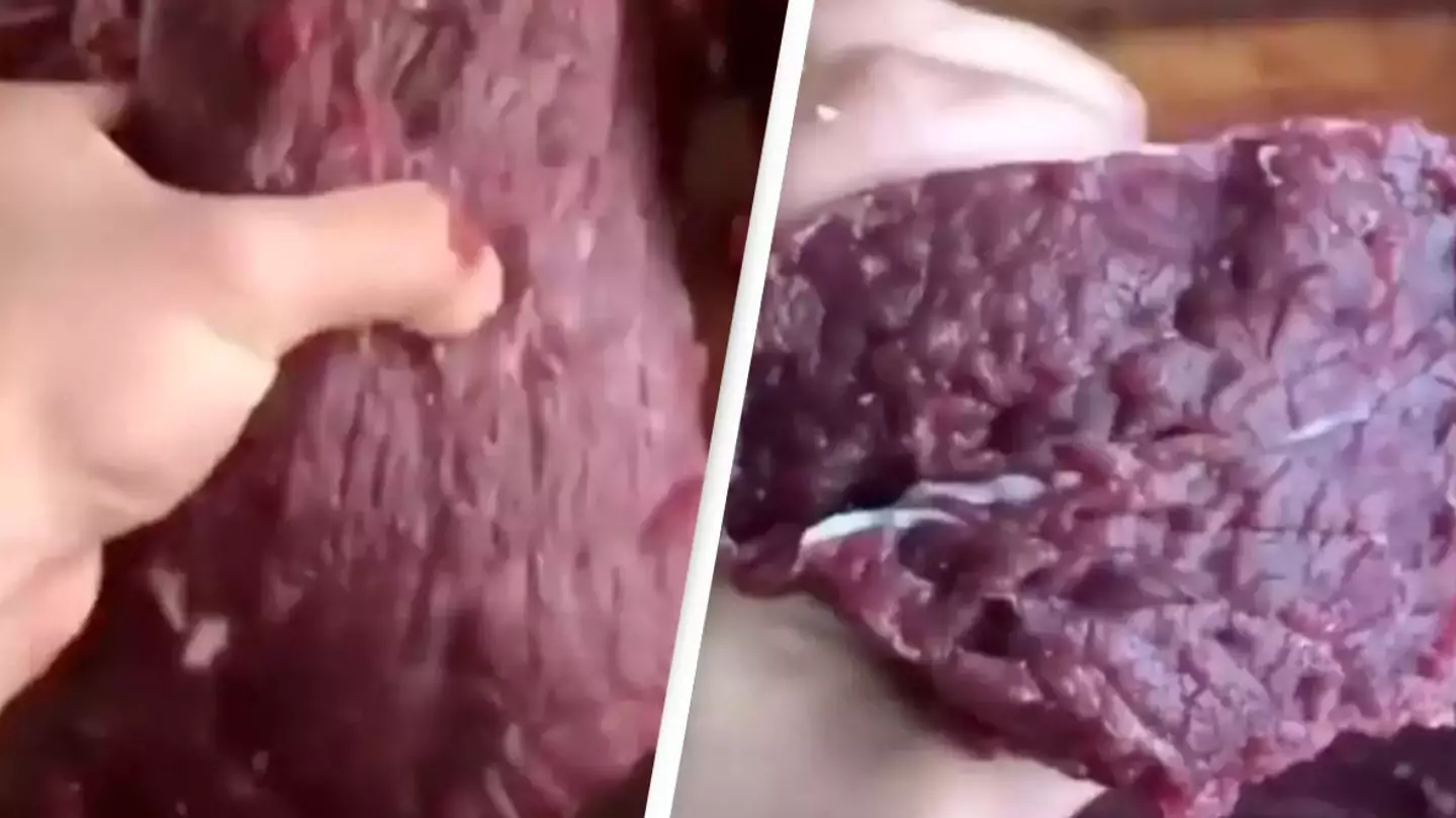 Twitter/Weird and Terrifying