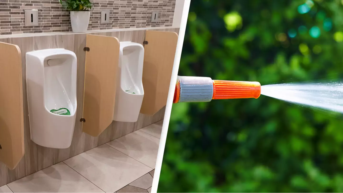 Costfoto/Future Publishing/delihayat/Getty Images