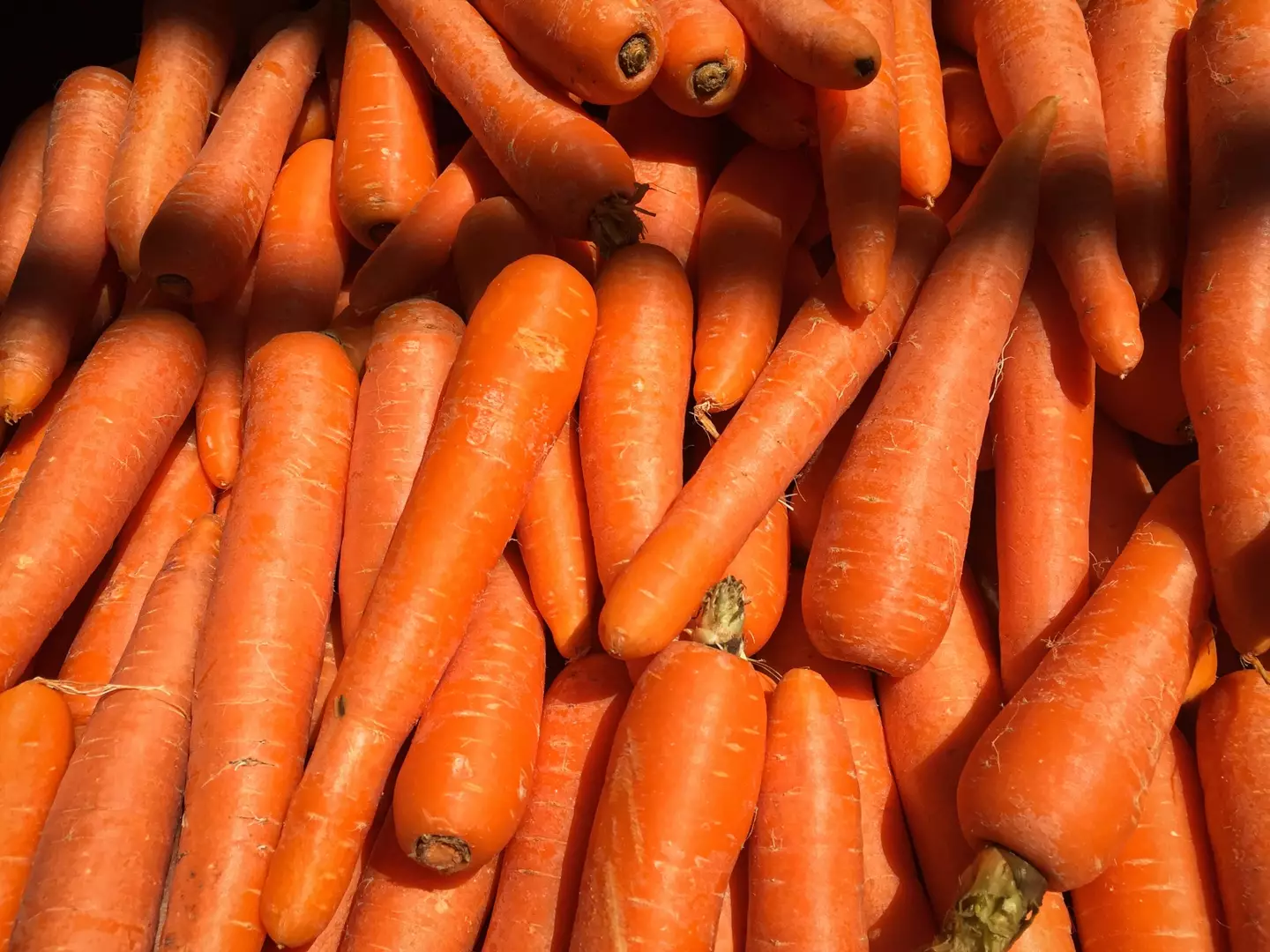 It's hard to imagine a carrot that isn't bright orange!
