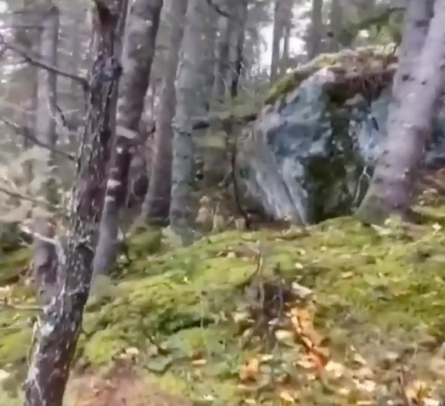 It's all down to a natural phenomenon.