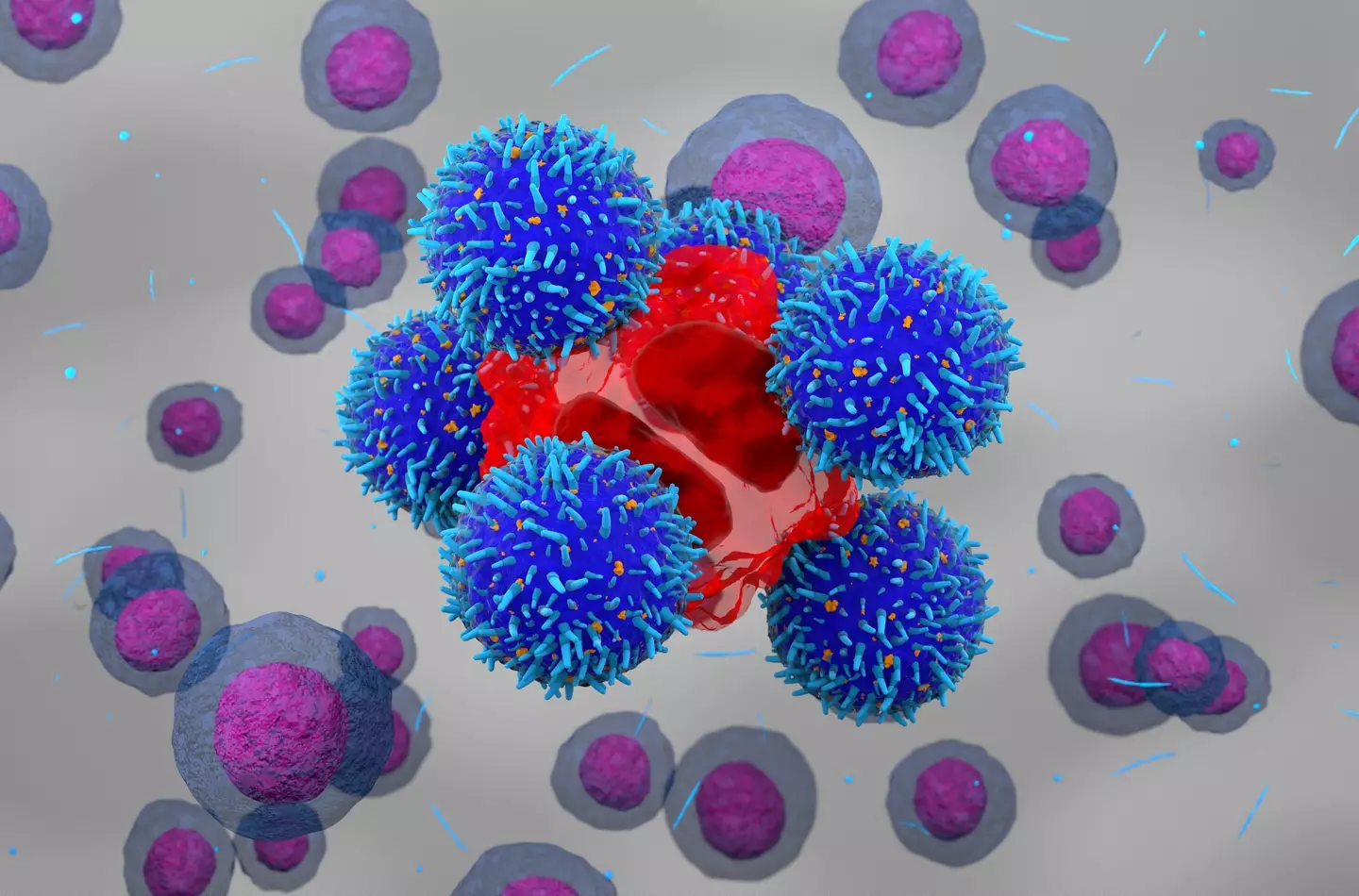 The new therapy drew on CAR-T cell therapy. (Getty Stock Images/ Nemes Laszlo/ Science Photo Library)