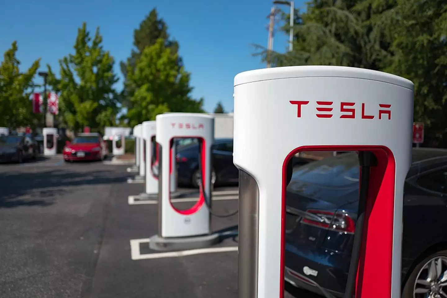 There are over 27,000 Tesla Superchargers dotted across the US (Smith Collection/Gado/Getty Images)