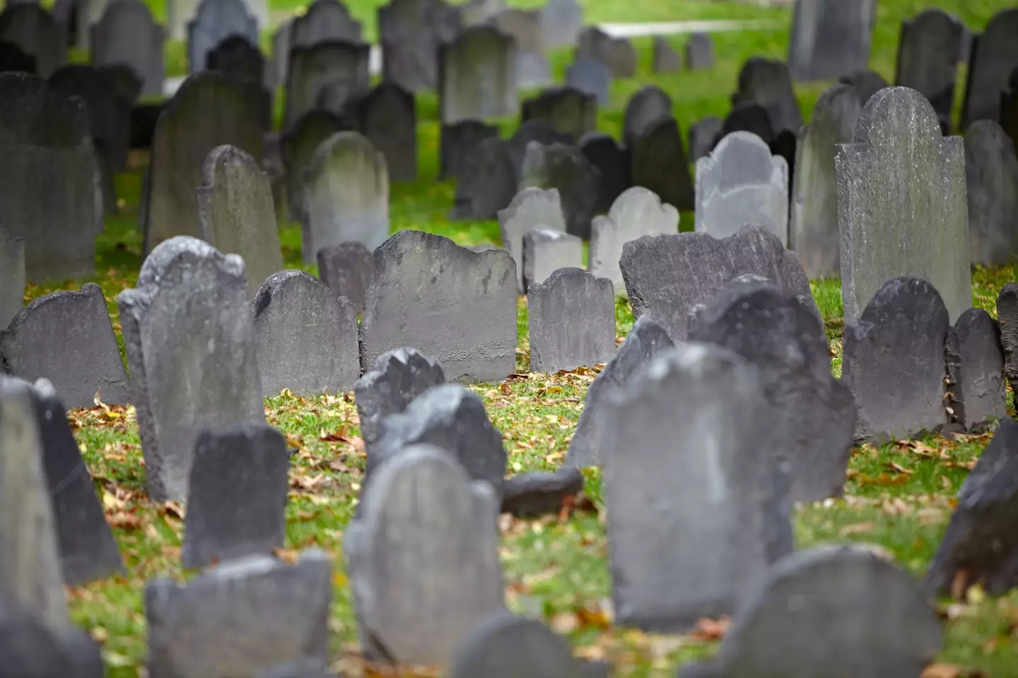 Stock image of graveyard.